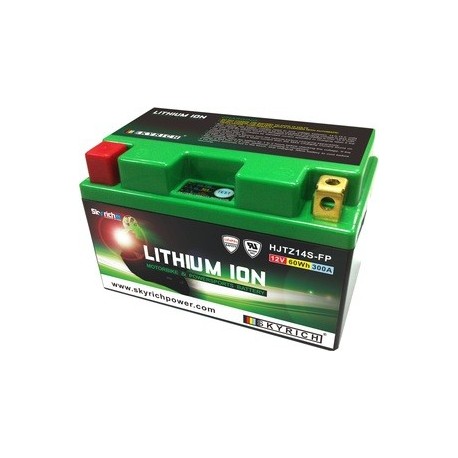 Chargeur de batterie Skyrich : Spécifique pour les modèles Lithium-Ion