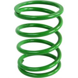 PRIMARY CLUTCH SPRING BRIGHT GREEN