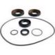 DIFFERENTIAL SEAL KIT RR