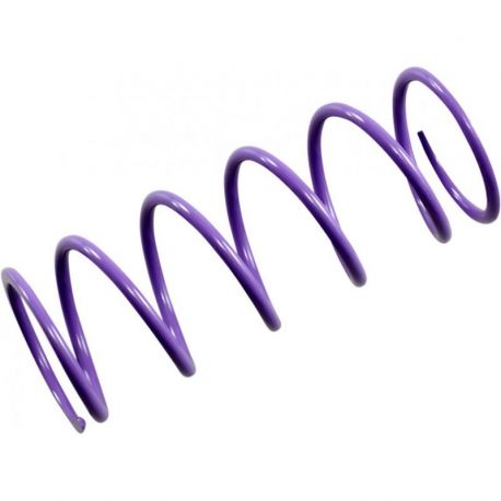 PRIMARY CLUTCH SPRING PURPLE