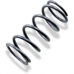 PRIMARY CLUTCH SPRING SILVER