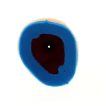 Filtre à air TECNIUM Kawasaki KX250F/450F