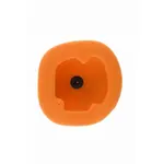 Filtre à air Twin Air BETA RR