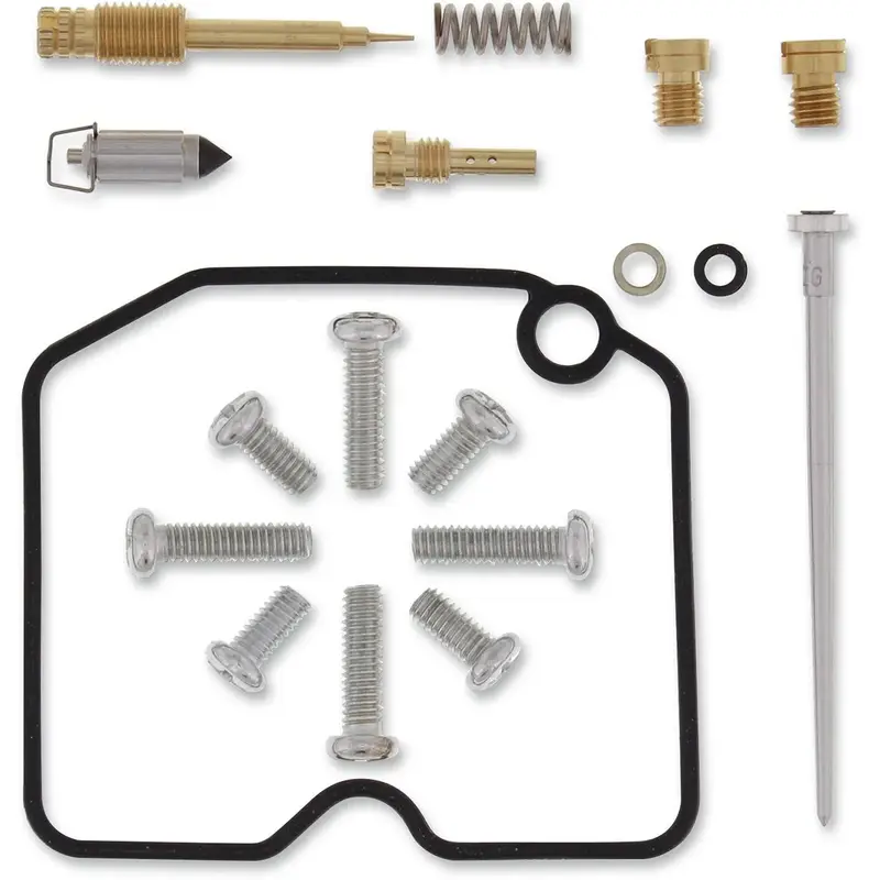 Kit réparation carburateur pour arctic cat ALTERRA,H1