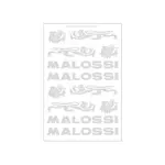 Planches d&#039;autocollants Malossi chromé par 3