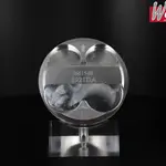 Piston forgé WÖSSNER Ø 76,97 mm KAWASAKI KX 250 F