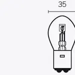 Boite de 10 ampoules V PARTS B35 12V-35/35W