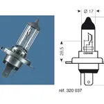 10 AMPOULES HS1 12V35/35W