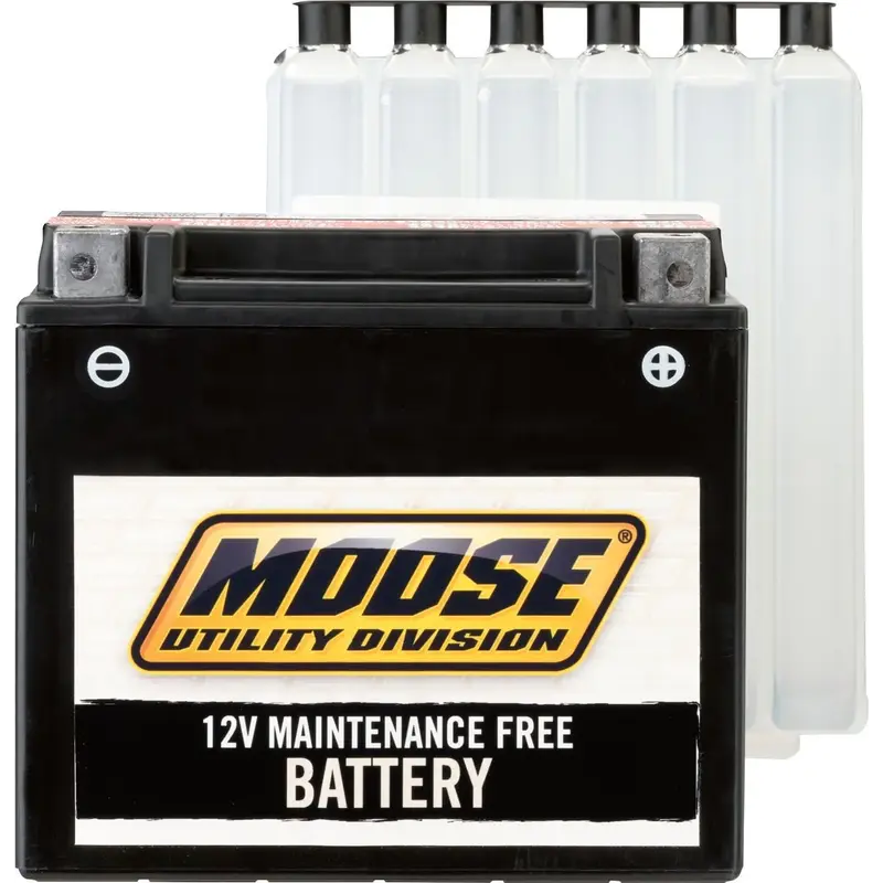 BATTERY MAINTENANCE-FREE
