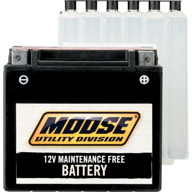 BATTERY MAINTENANCE-FREE