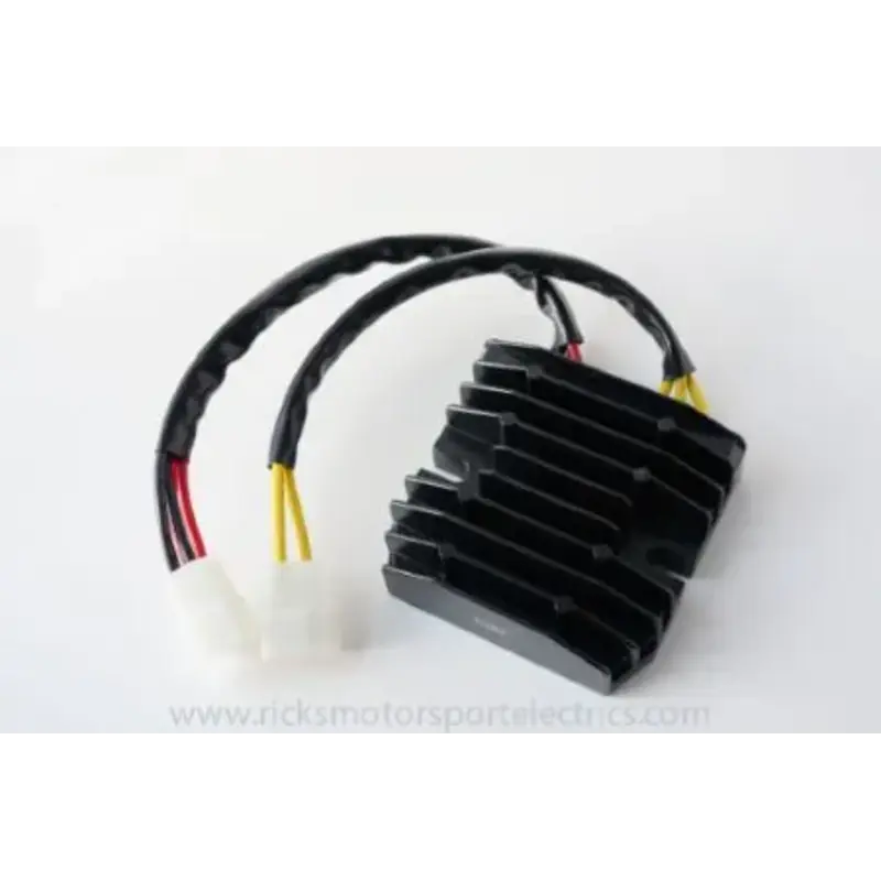 REG/REC HOTSHOT DUCATI