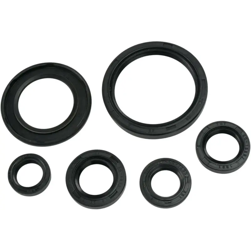 OIL SEAL SET