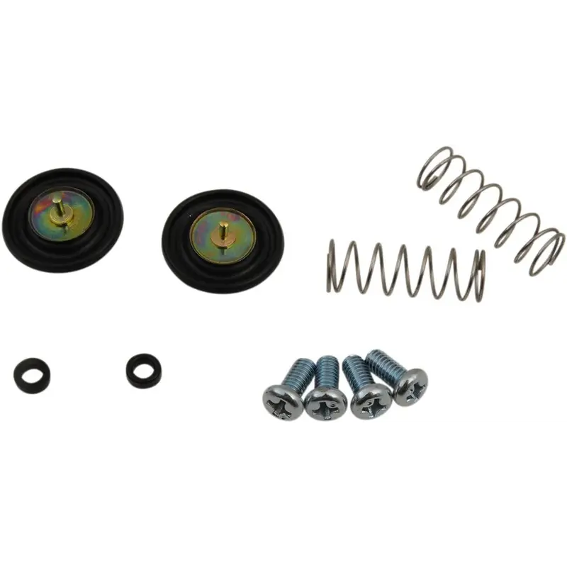 Kit de réparation membrane de pompe de reprise 