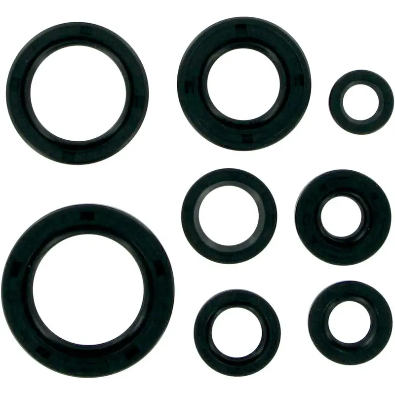 OIL SEAL SET