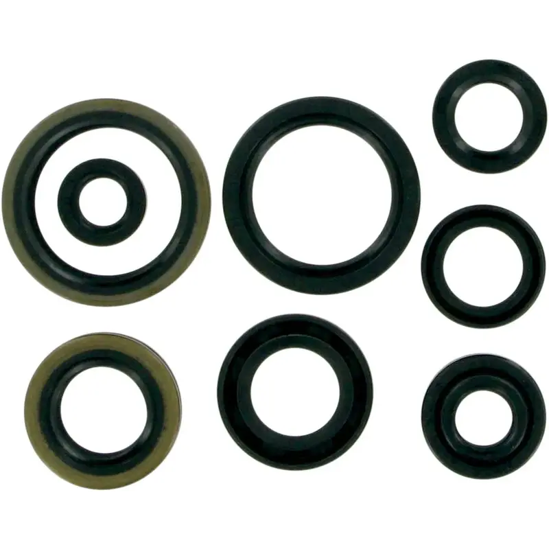 OIL SEAL SET