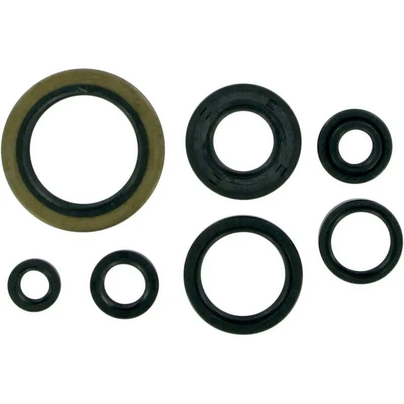 OIL SEAL SET