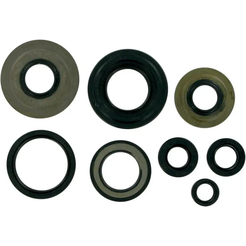 OIL SEAL SET