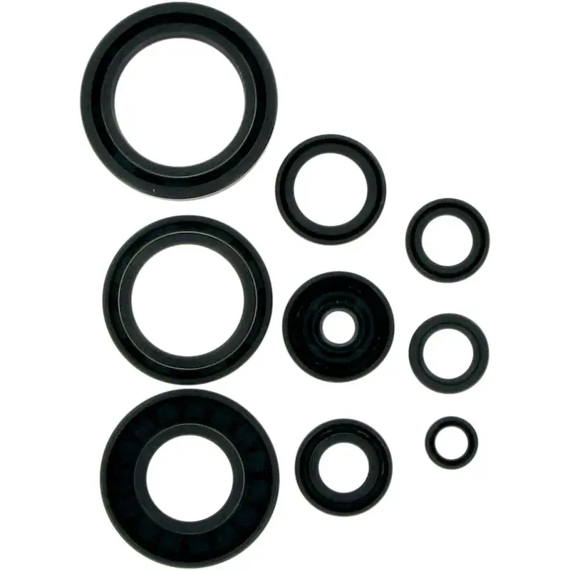 OIL SEAL SET
