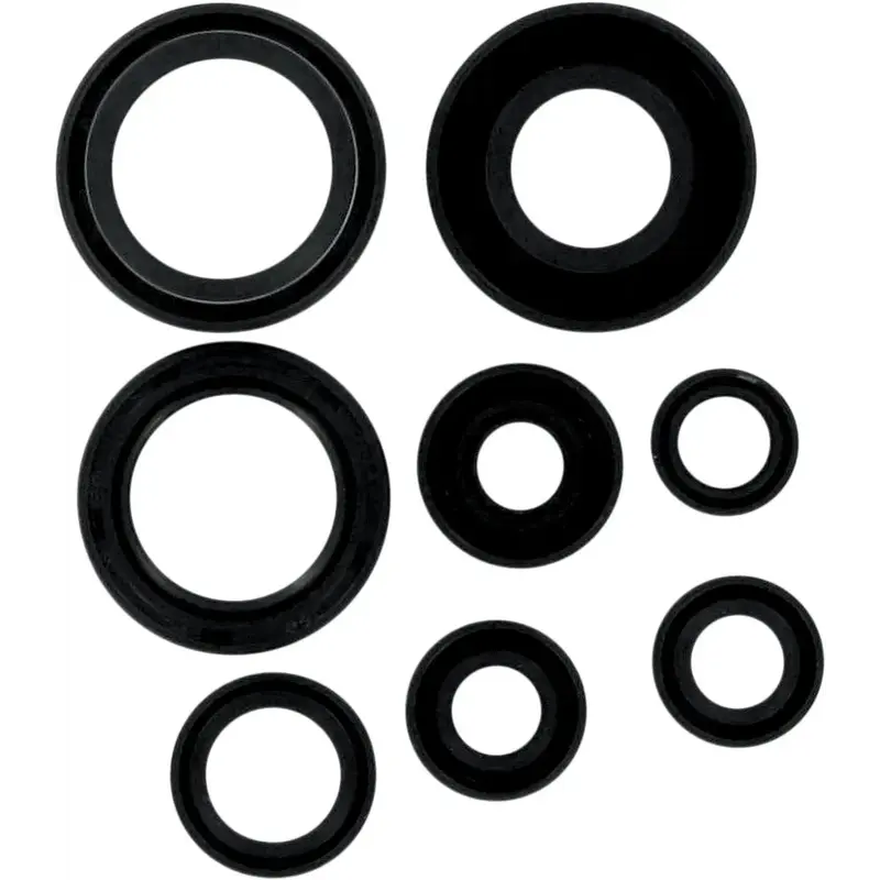 OIL SEAL SET
