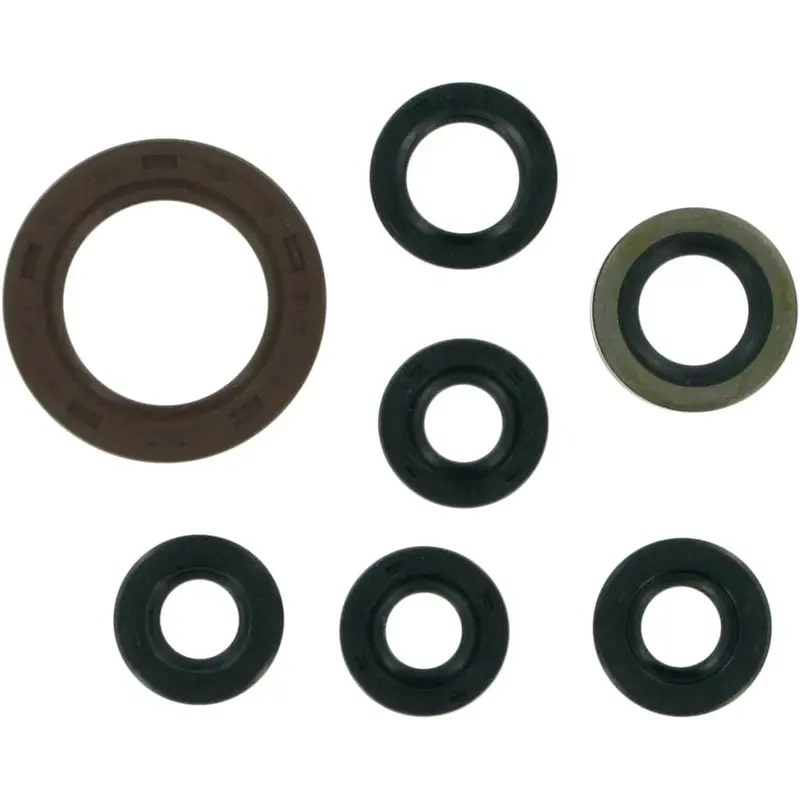 OIL SEAL SET