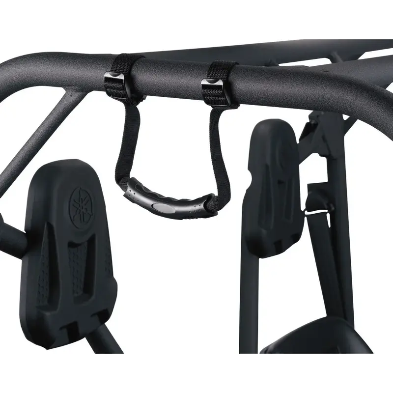 ENTRY ASSIST HANDLES