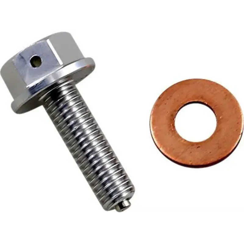 DRAIN PLUG MAGNETIC SLVR