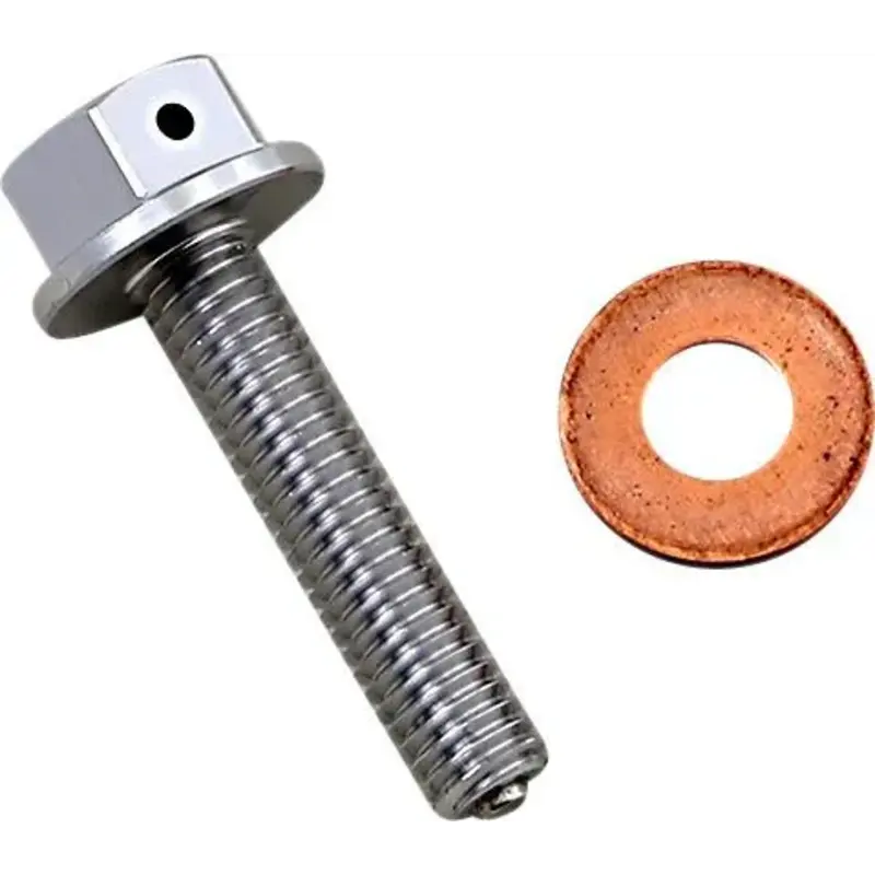 DRAIN PLUG MAGNETIC SLVR