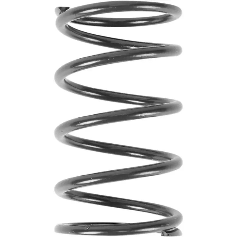 PRIMARY CLUTCH SPRING DARK GREEN