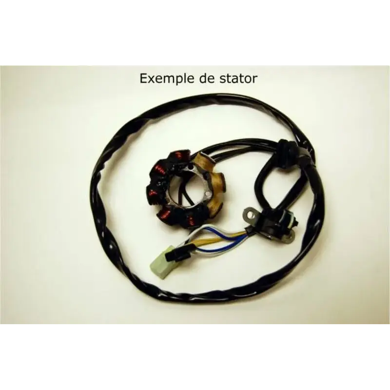 Stator ELECTROSPORT Suzuki RM125/250