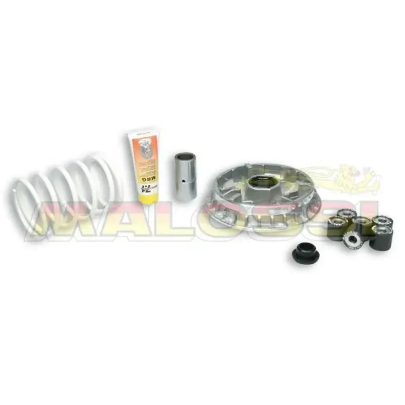 Variateur MALOSSI Multivar Kymco X-Citing 500