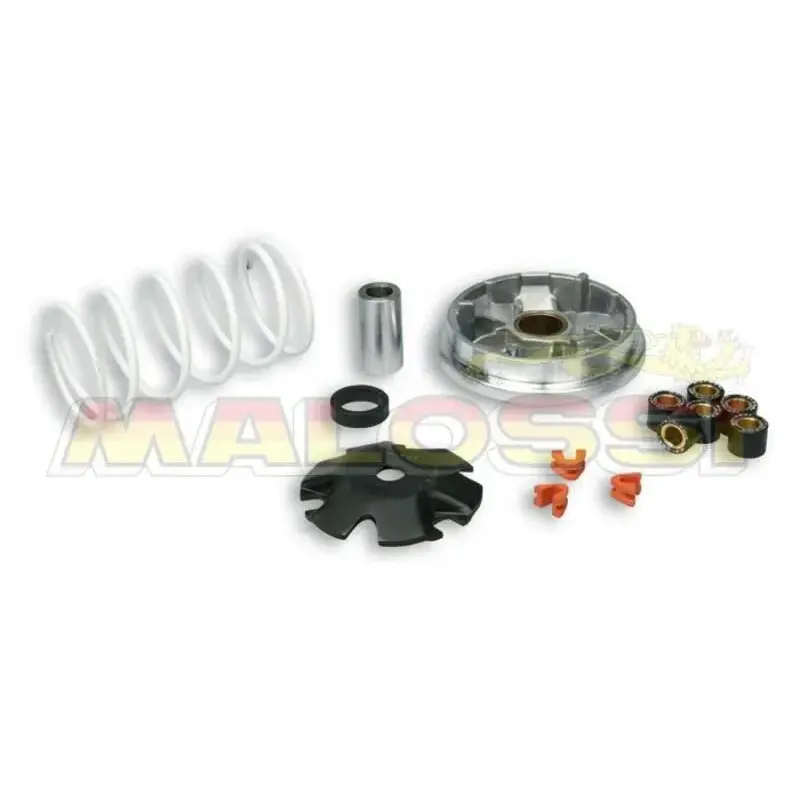 Variateur MALOSSI Multivar Peugeot Ludix/Jet Force 50