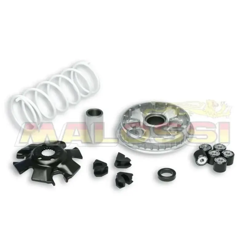 Variateur MALOSSI Multivar Suzuki Burgman 125