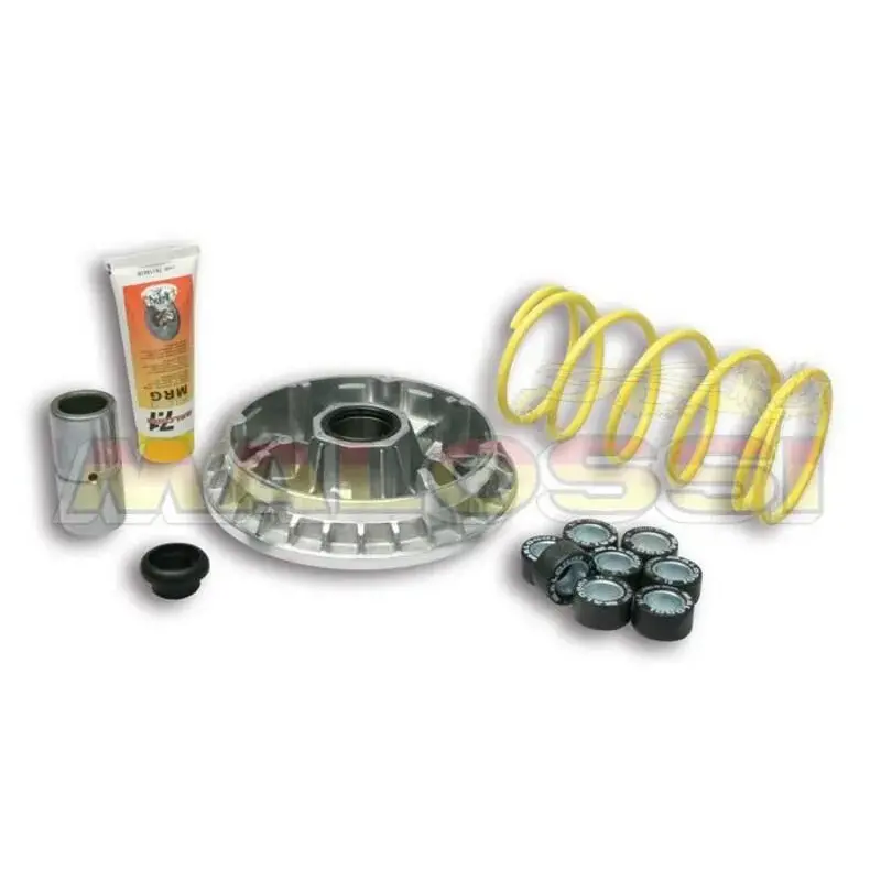 Variateur MALOSSI Multivar Suzuki Burgman 400