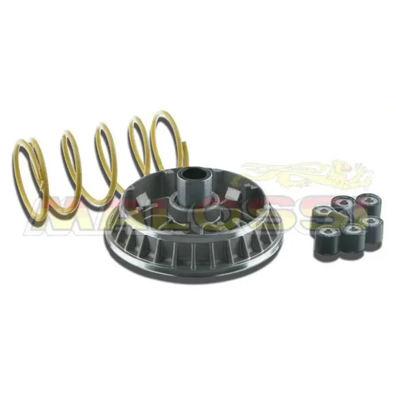 Variateur MALOSSI Multivar Suzuki Burgman 400