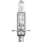 Ampoule OSRAM Original Line H1 12V/55W