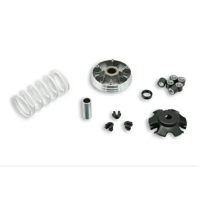 Variateur MALOSSI Multivar 2000