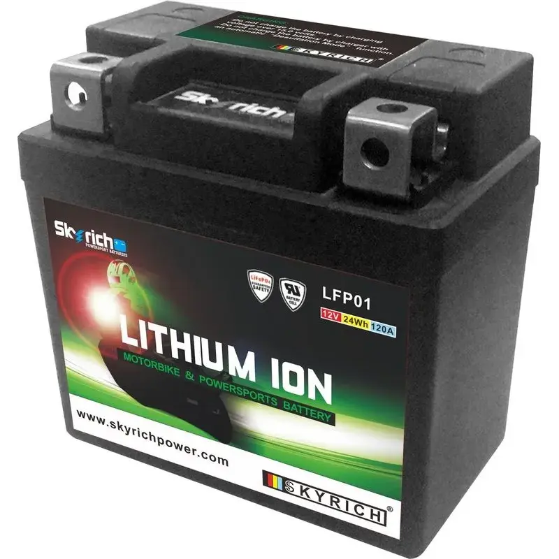 Batterie SKYRICH Lithium Ion LTKTM04L sans entretien