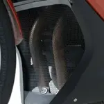 Grille de collecteur R&amp;G RACING BMW F800GT