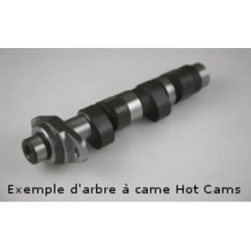 ACT stage 1 Hot Cams POLARIS SPORTSMAN 500/HAWKEYE 400