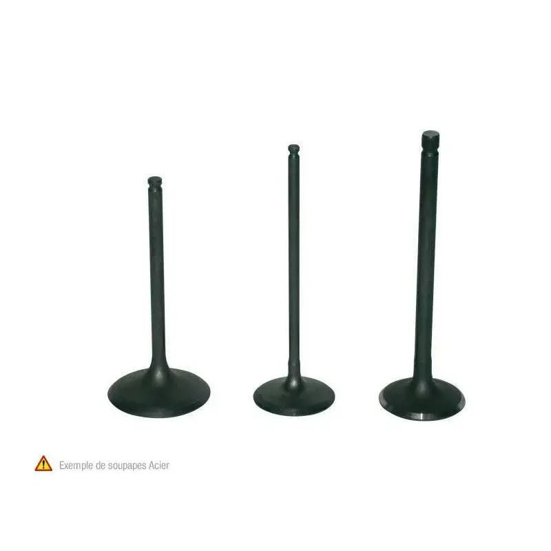 SOUPAPE D'ECHAPPEMENT POUR TRX450R, ER 2006-08