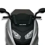 Bulle MALOSSI Sport fumé foncé BMW C600