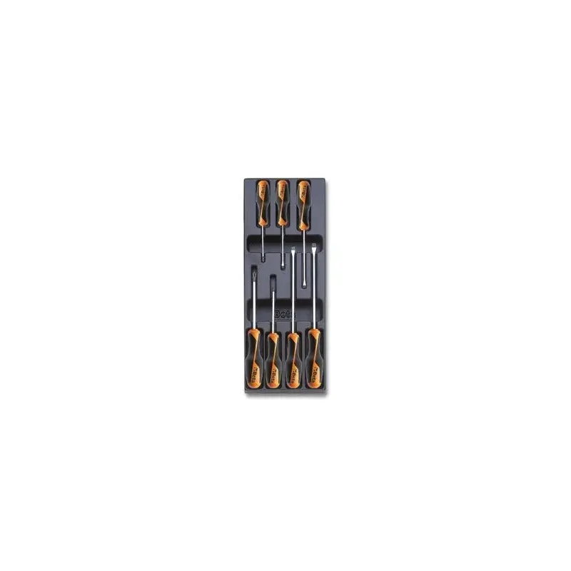 Plateau thermoformé rigide BETA avec composition de tournevis plat + cruciforme