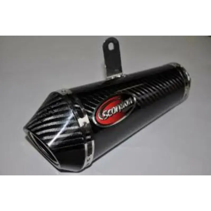 Silencieux Power Cone seul carbone / carbone end, coté droite