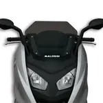 Bulle MALOSSI Sport fumé foncé BMW C600