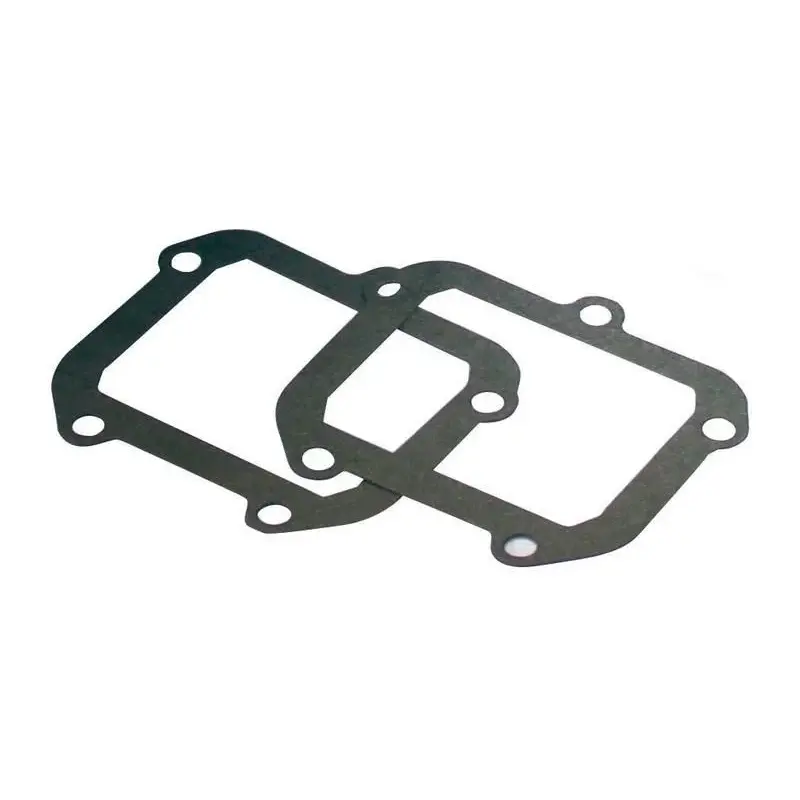 JOINT DE CLAPET V-FORCE