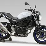 Silencieux YOSHIMURA R-77J inox/casquette carbone Suzuki SV650