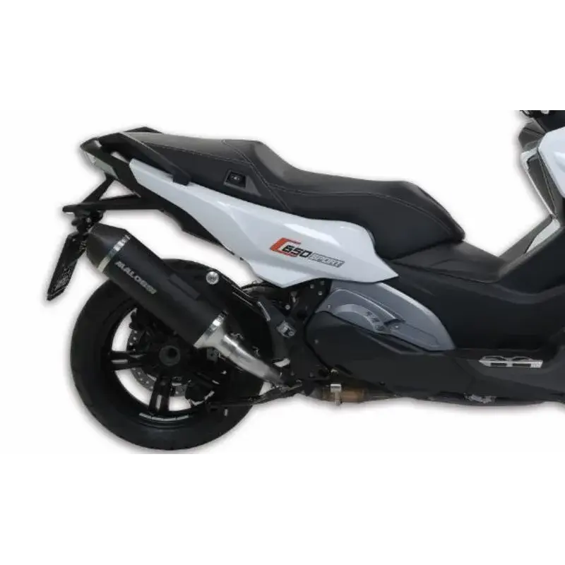 Silencieux MALOSSI Wild Lion BMW C650 Sport