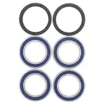 Kit roulements de roue arrière ALL BALLS Can Am DS450