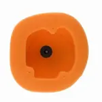 Filtre à air TWIN AIR 158033 Beta RR