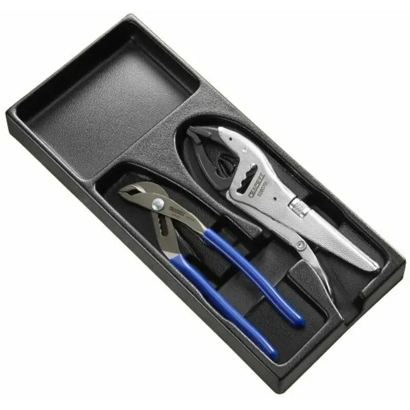 Module 2 pinces EXPERT multiprise/étau